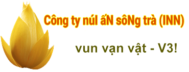 công ty núI ấN sôNg trà (INN)